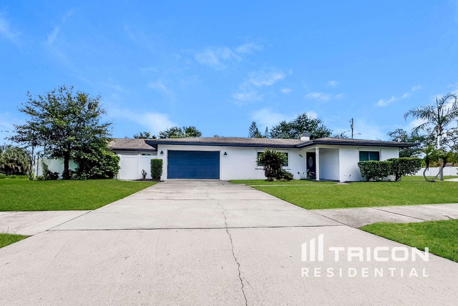 801 Willowbranch Avenue Clearwater FL