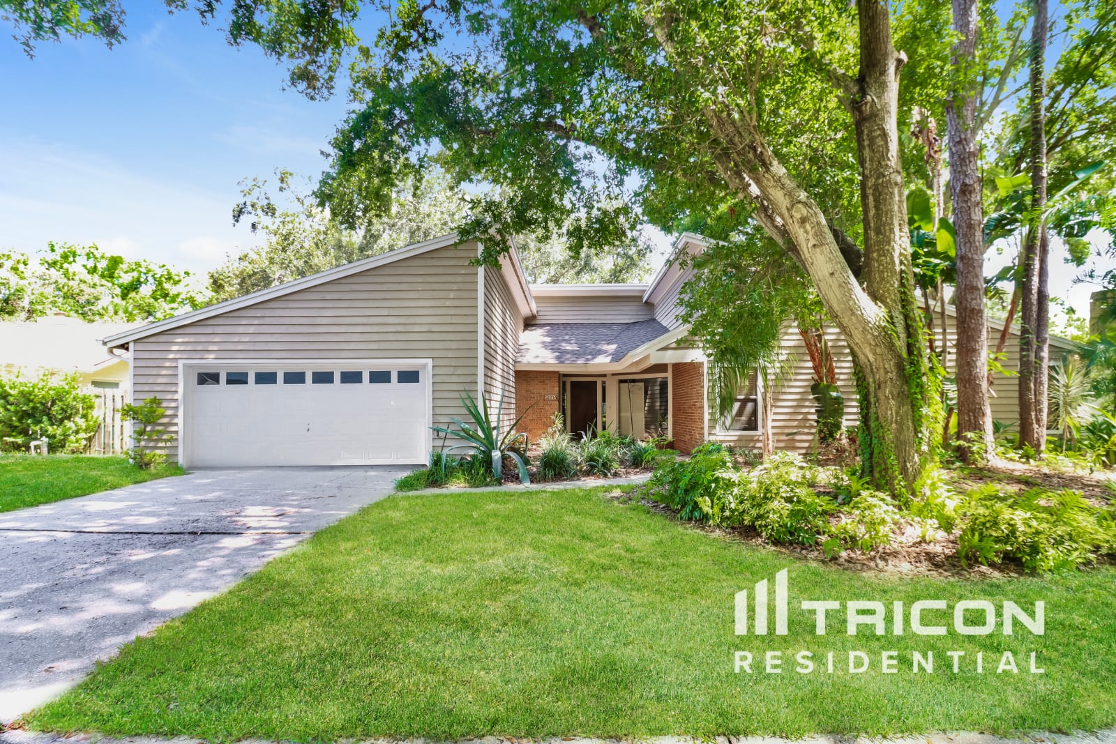 816 Village Way Palm Harbor FL