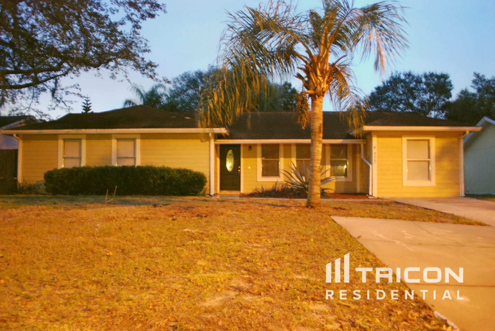 8405 Caladesi Island Drive Temple Terrace FL