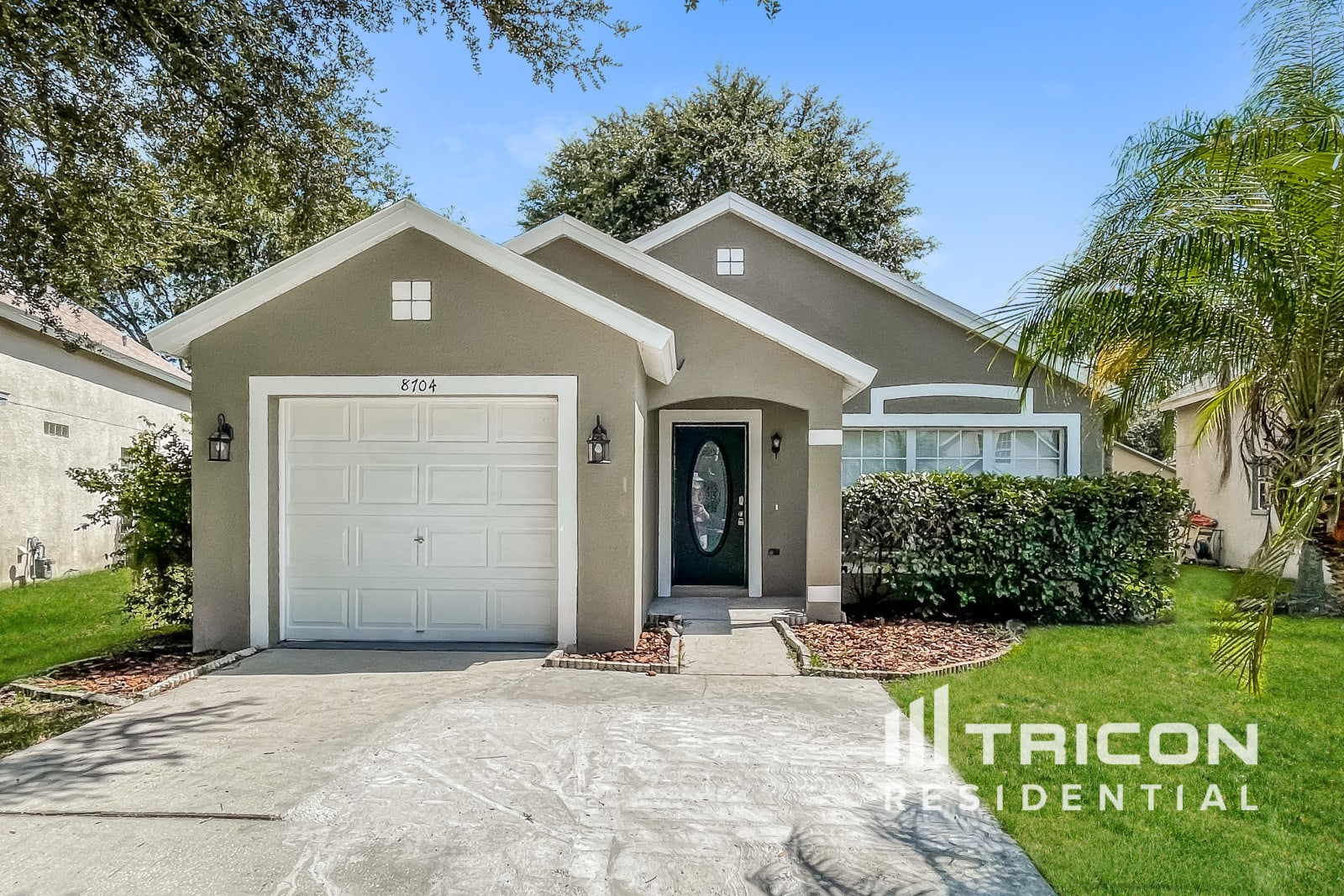 8704 Persea Court Trinity FL