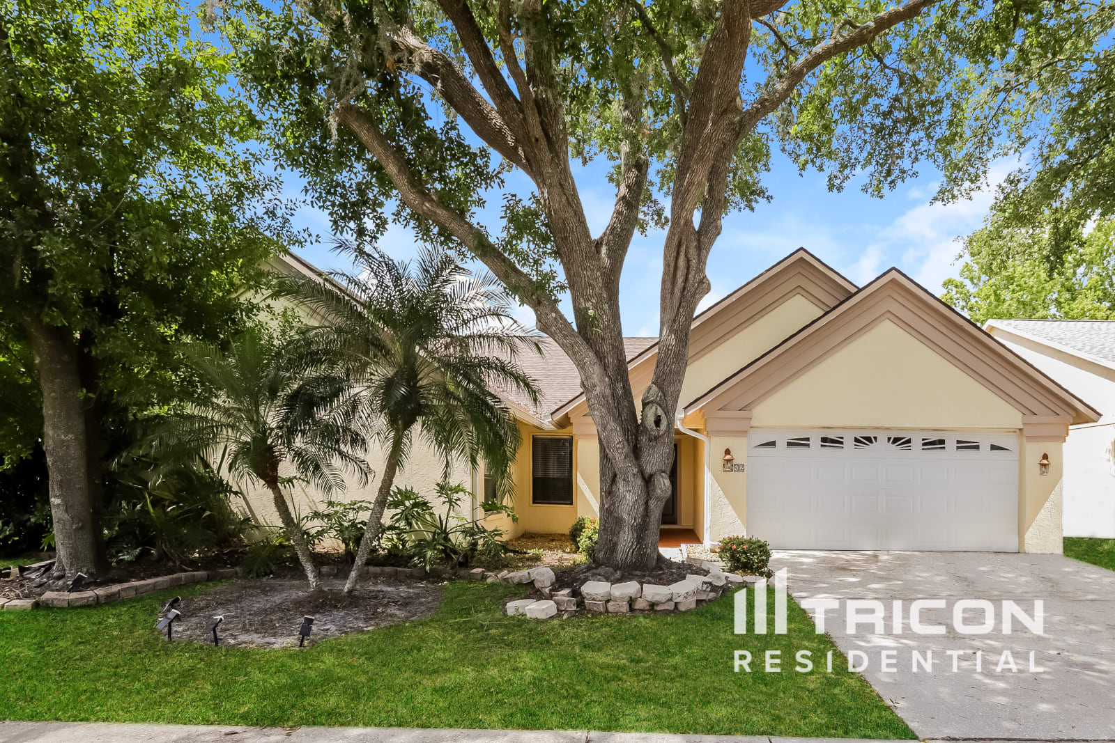 9542 Pebble Glen Avenue Tampa FL