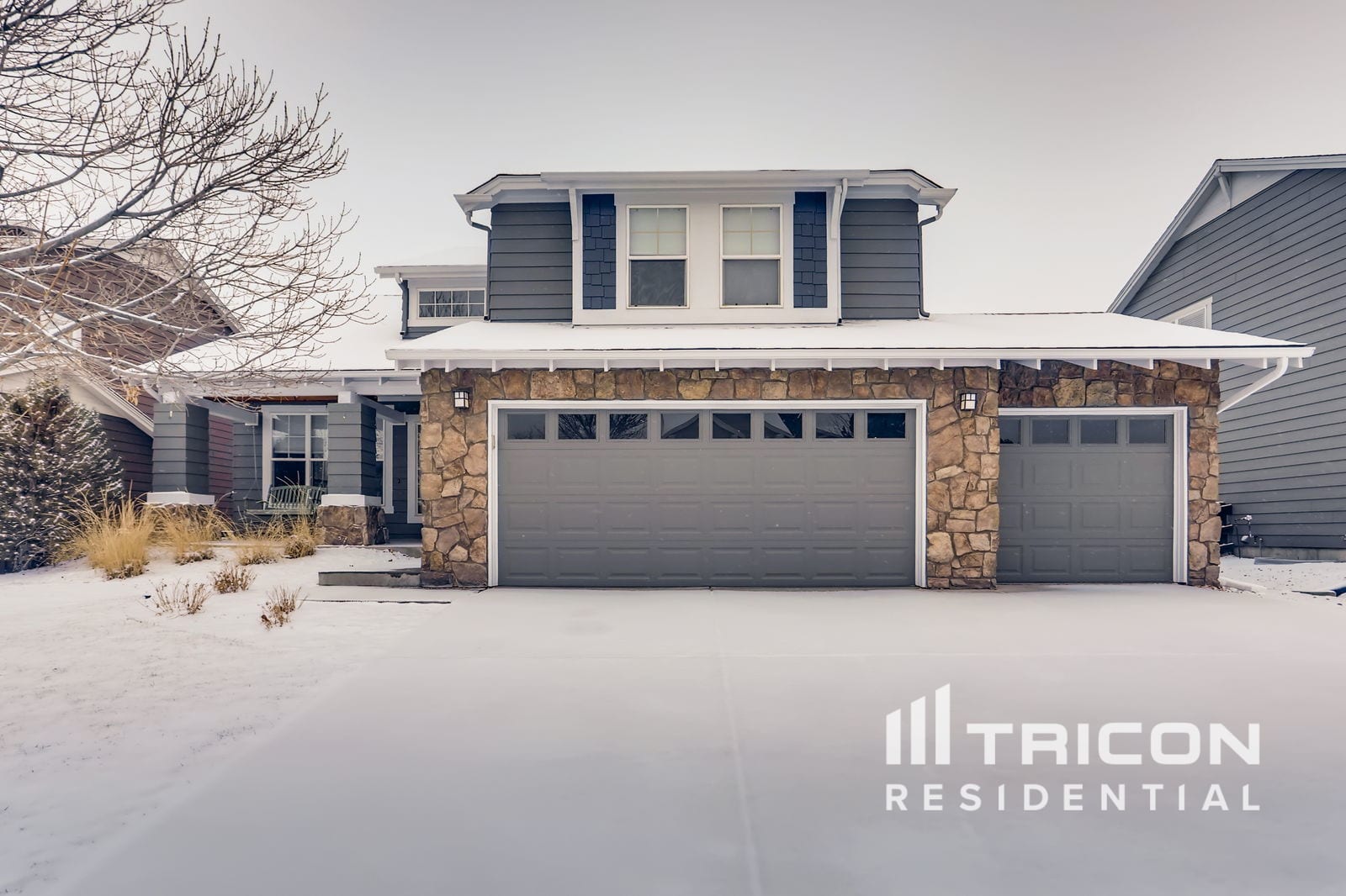 4683 Charing Ct Castle Rock CO