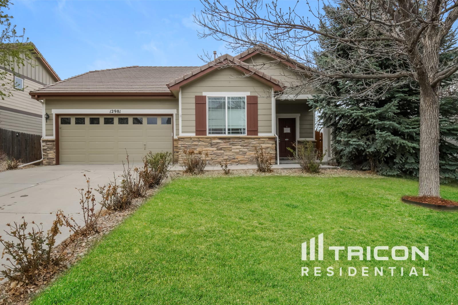 12981 Roslyn Street Thornton CO