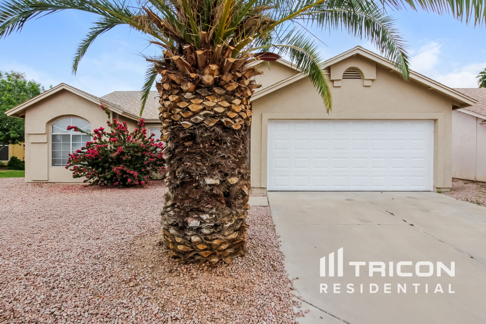 771 E Colt Road Chandler AZ