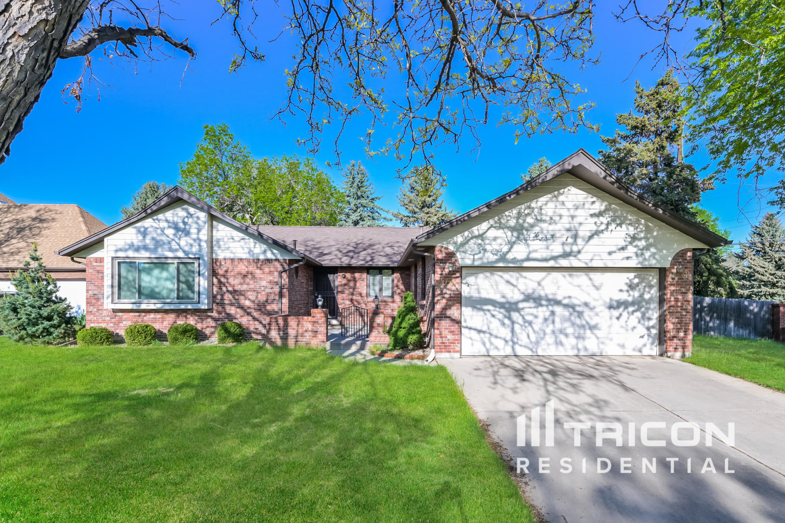 3791 Vivian Court Wheat Ridge CO
