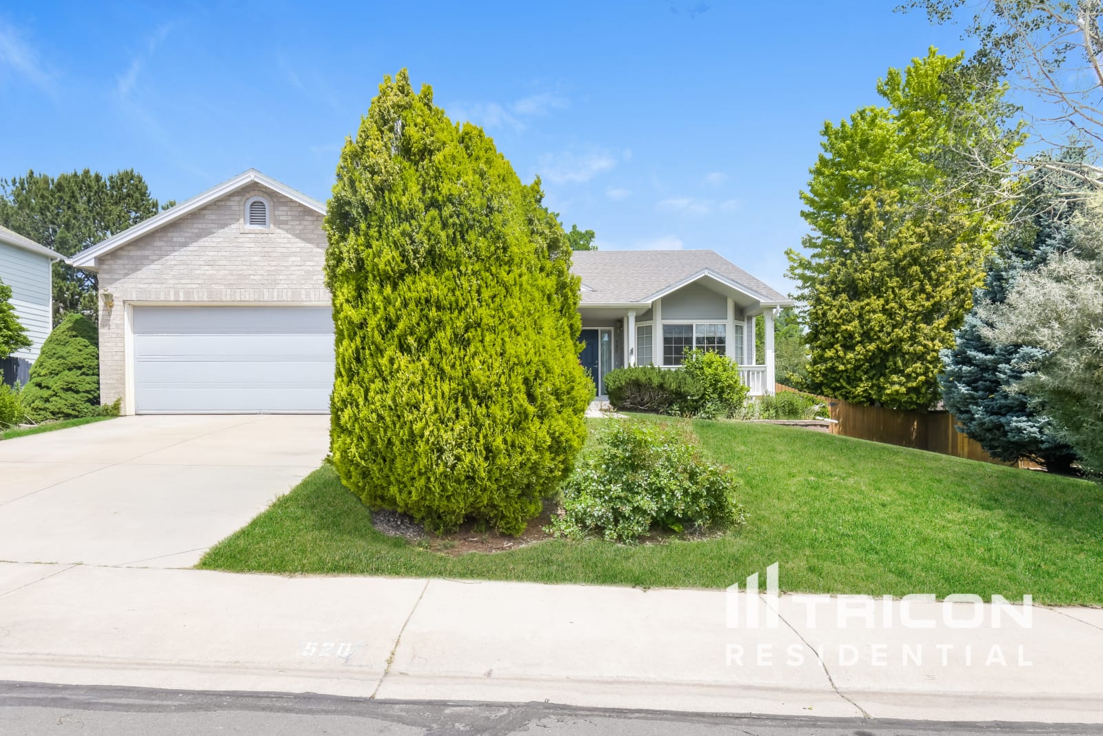 520 Sedgwick Dr Fort Collins CO