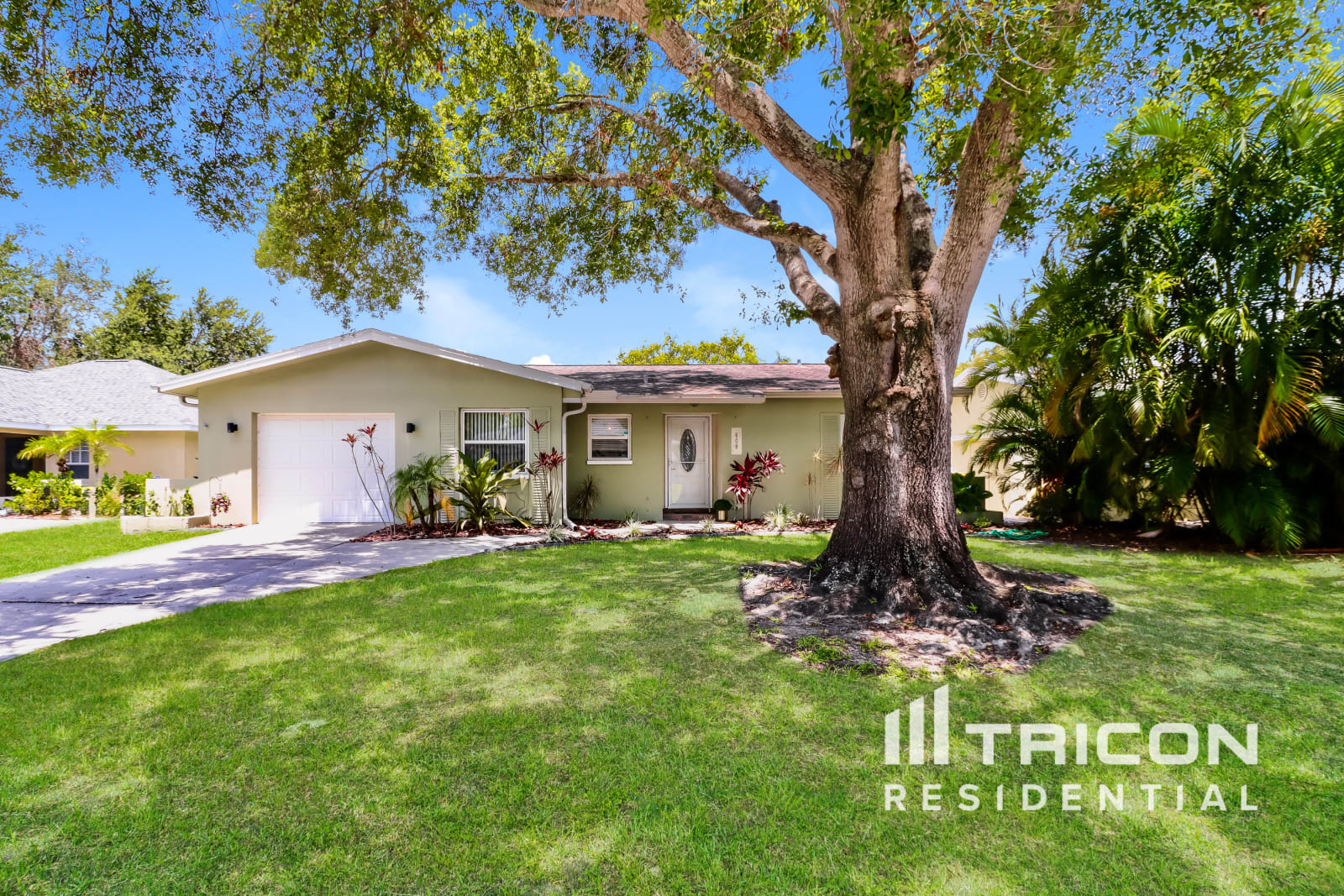 609 Linda Court Palm Harbor FL