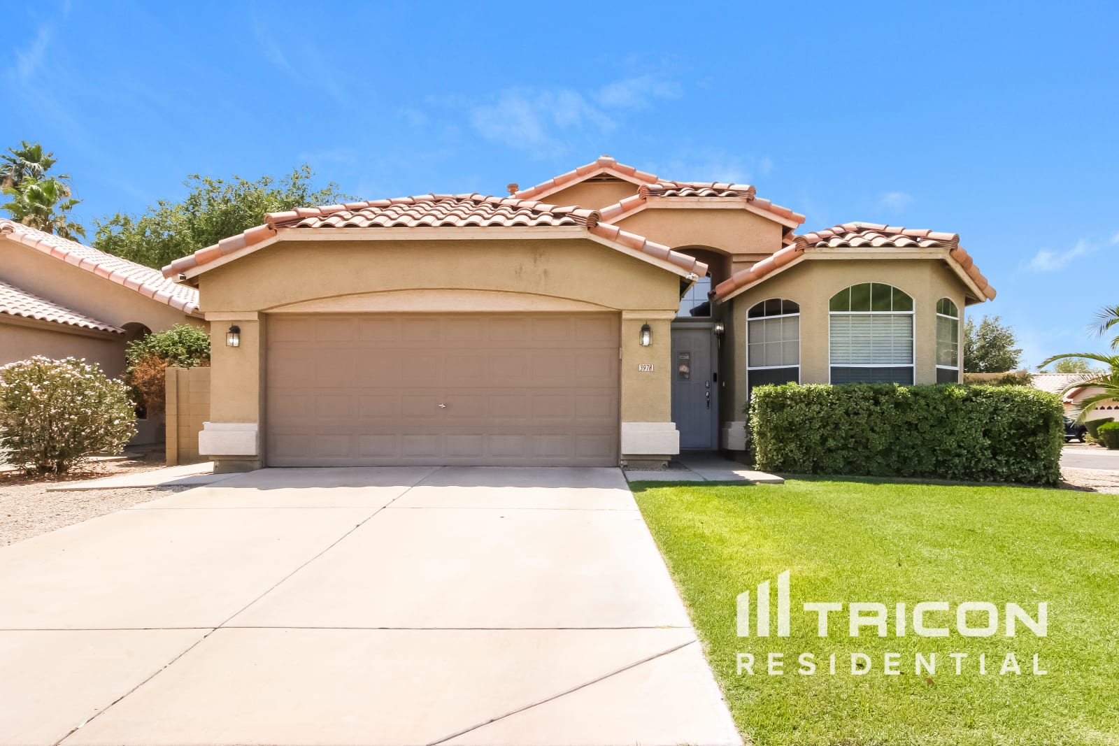 3978 Douglas Loop Gilbert AZ