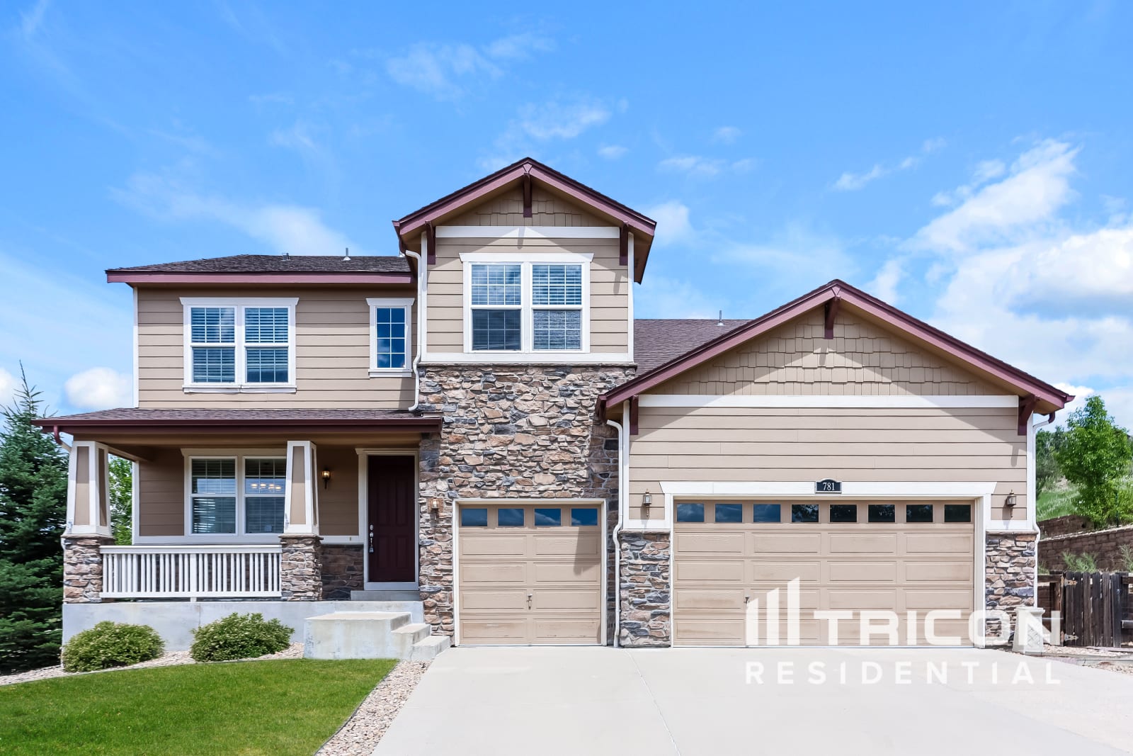 781 Dublin Pl Castle Rock CO