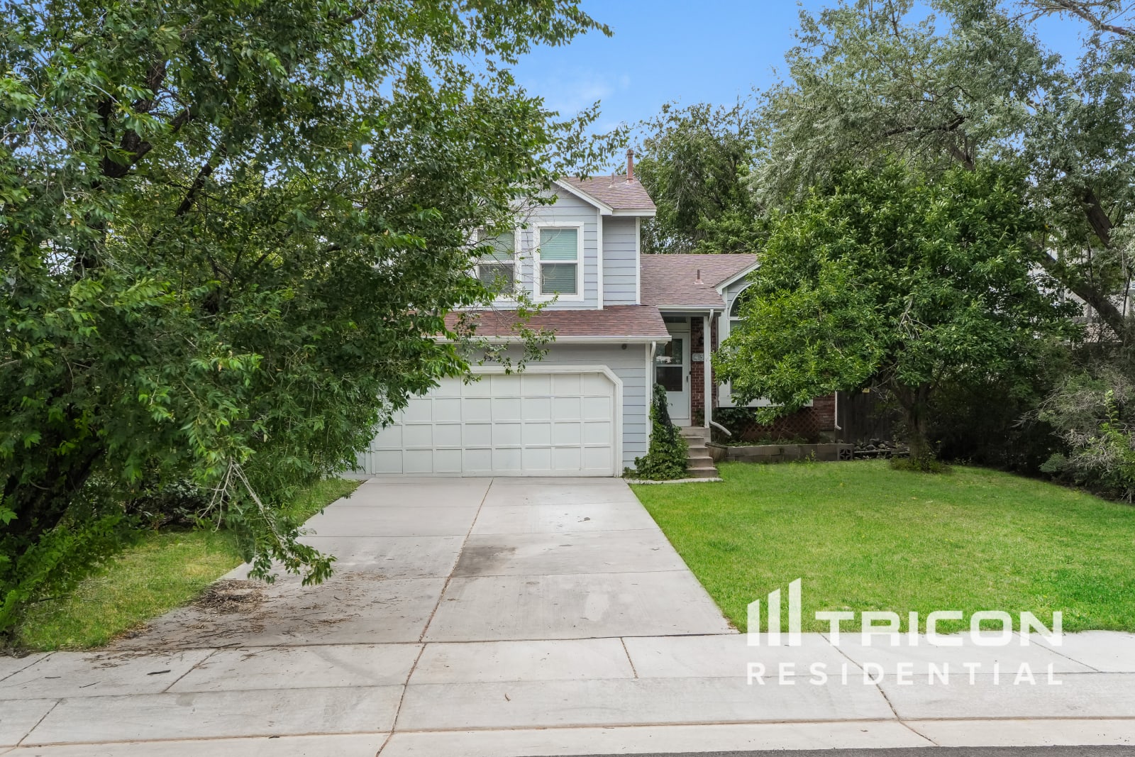 4336 Anvil Drive Colorado Springs CO