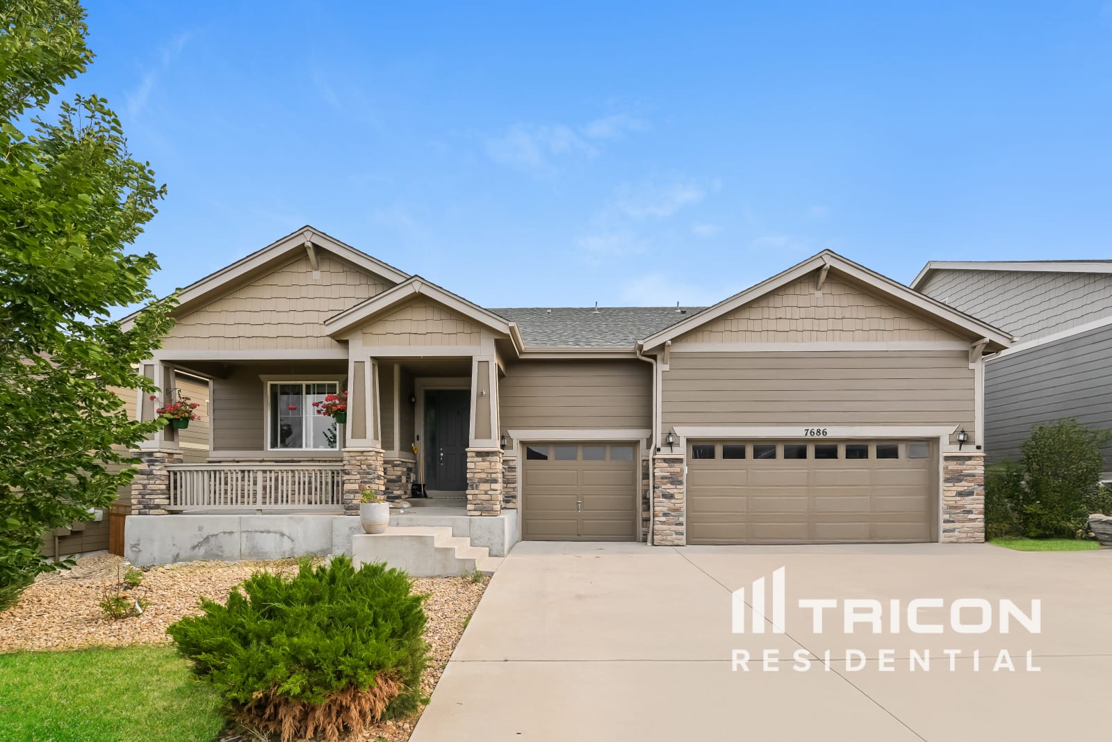 7686 Oasis Drive Castle Rock CO