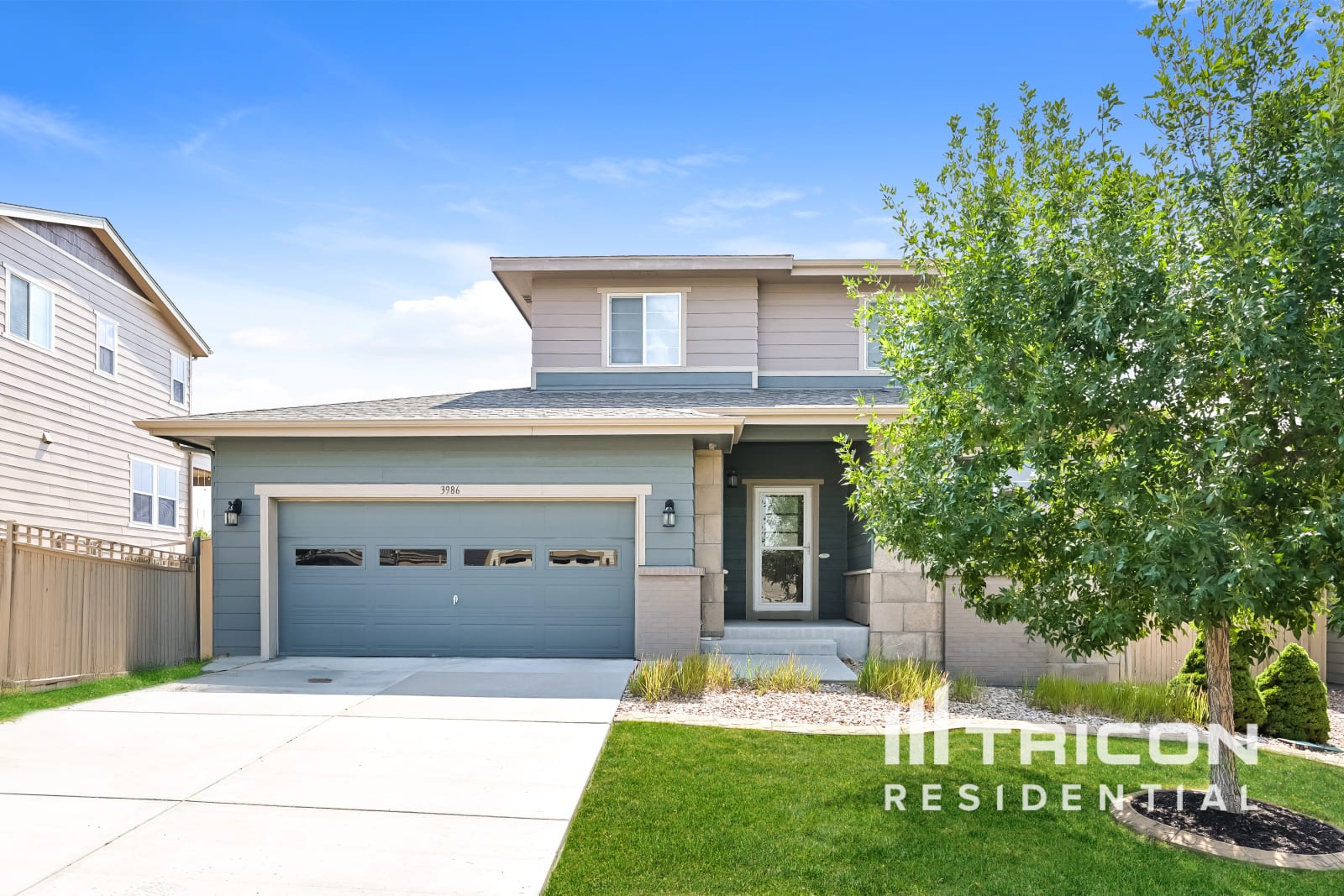 3986 Donnington Cir Castle Rock CO