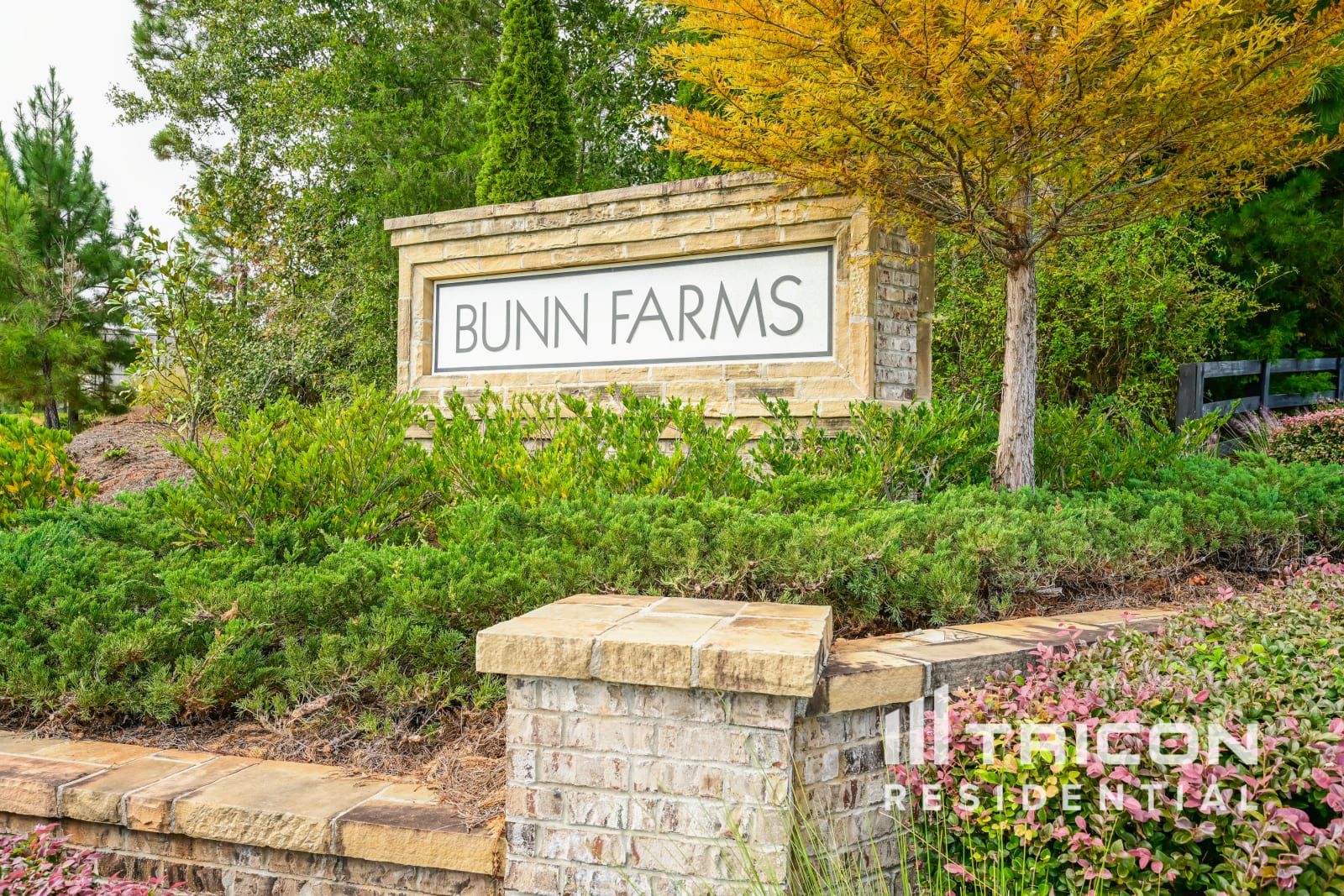 517 Moline Way Locust Grove GA