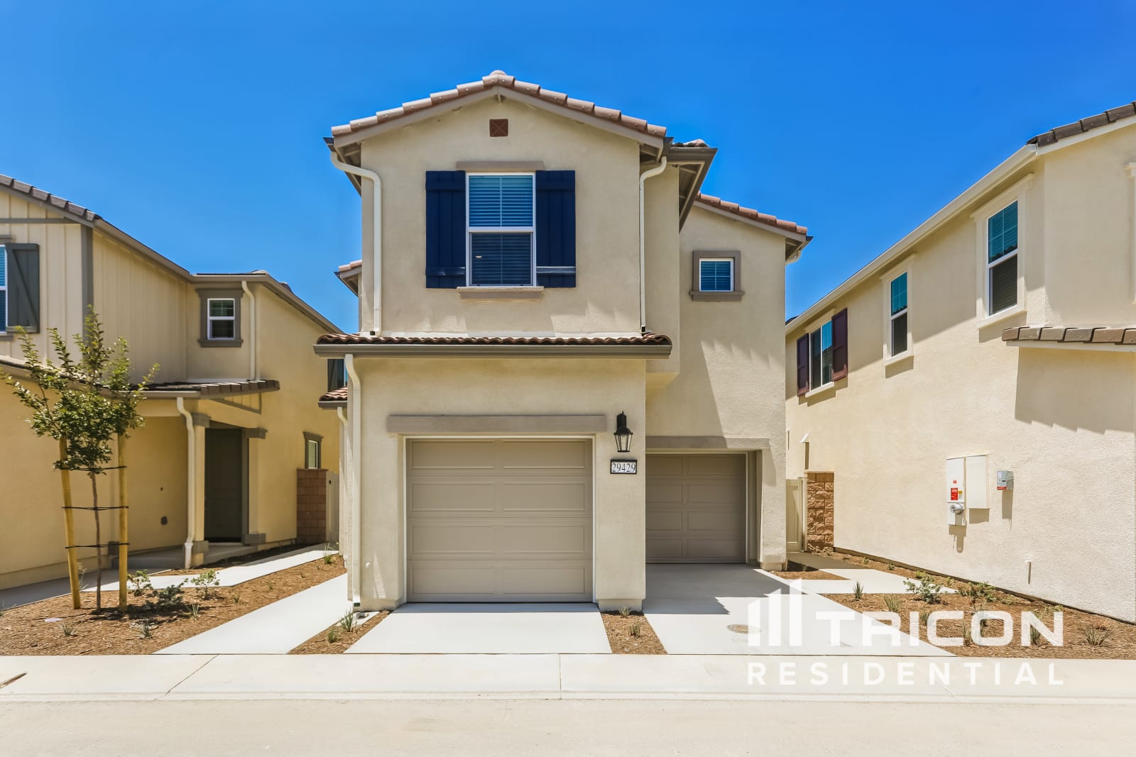 29429 Cumaru Ct Winchester CA