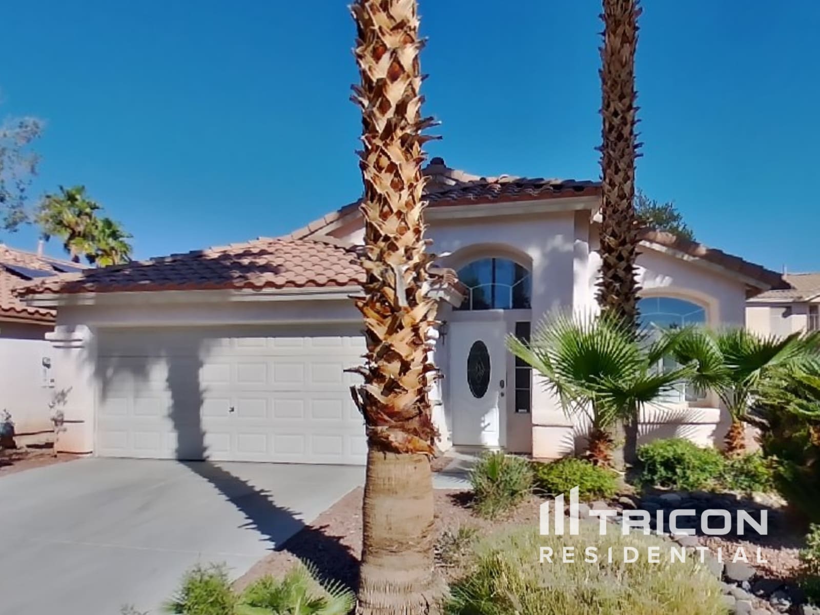 1156 Fan Coral Avenue Las Vegas NV