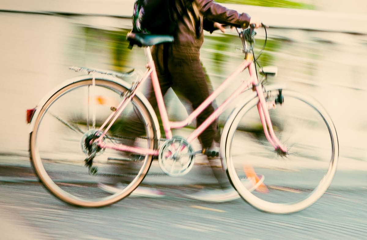 Person walking a bicycle