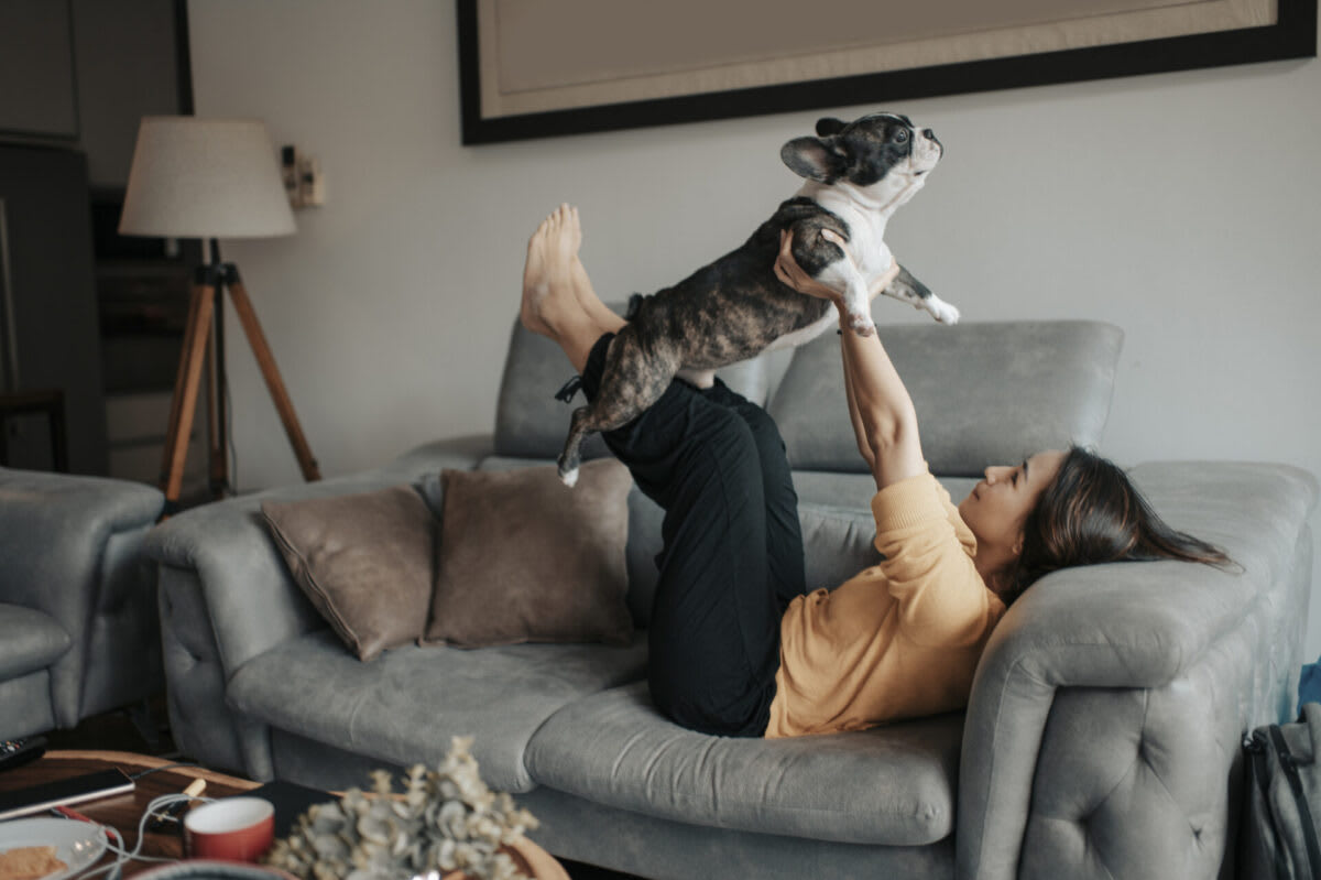 An image of a pet owner spending time with her pet french bulldog on sofa pretend flying