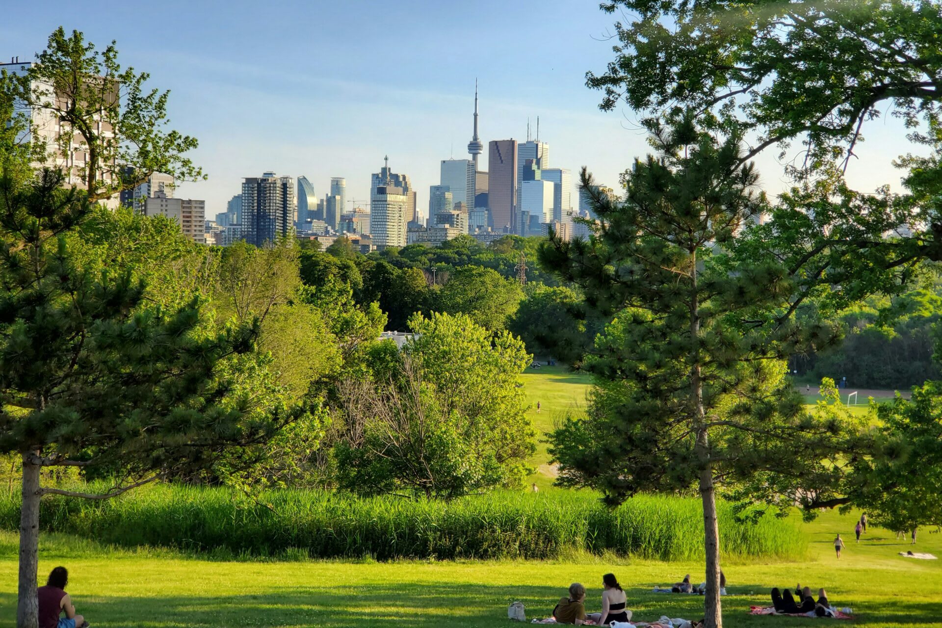Toronto nature city view