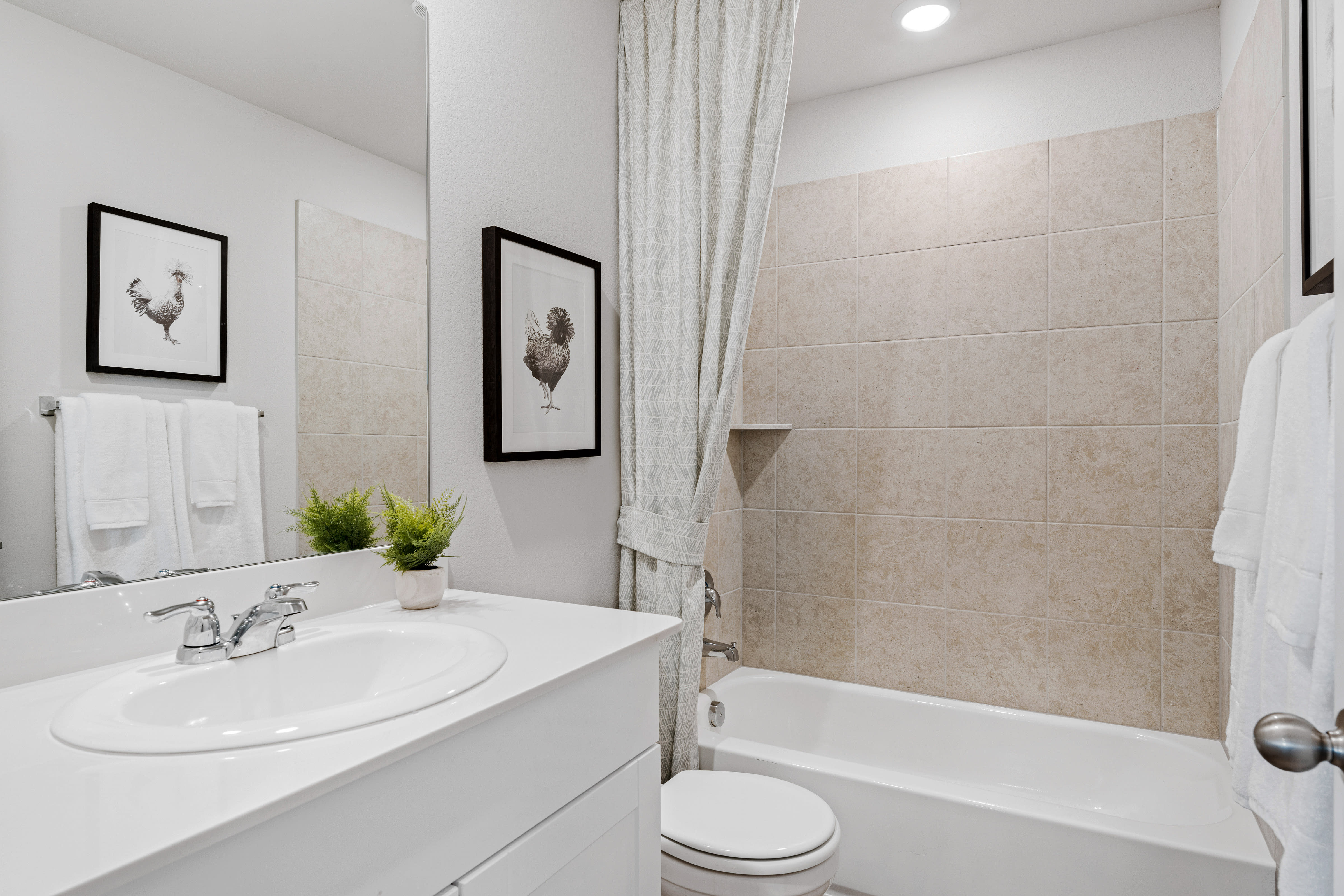 Photo of staged bathroom showcasing spacious countertop and LED lighting.