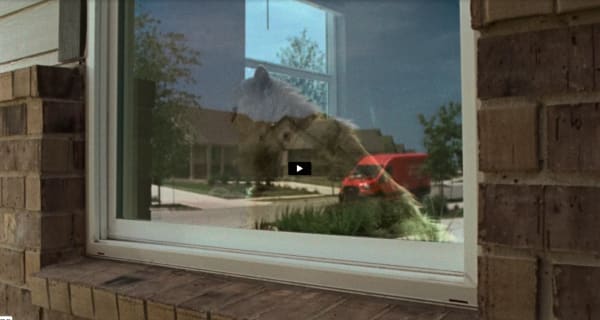 Corey’s Testimonial