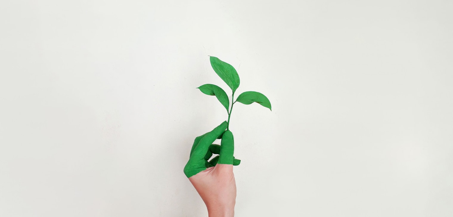 Hand mit grünem Blatt symbolisiert Nachhaltigkeitsberichterstattung