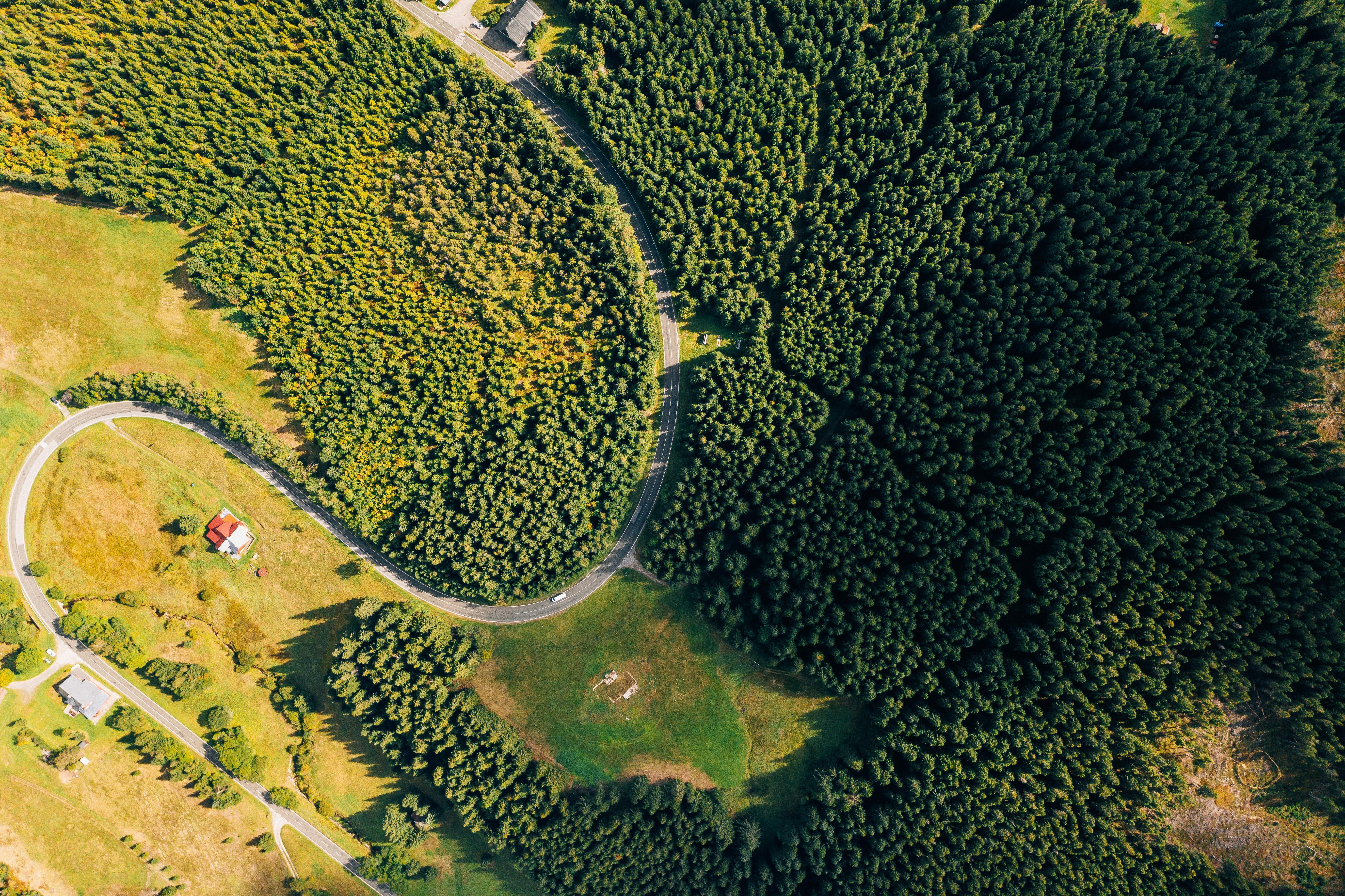 vue aérienne d'une route dans la nature pour des voyages professionnels pluss écoresponsables