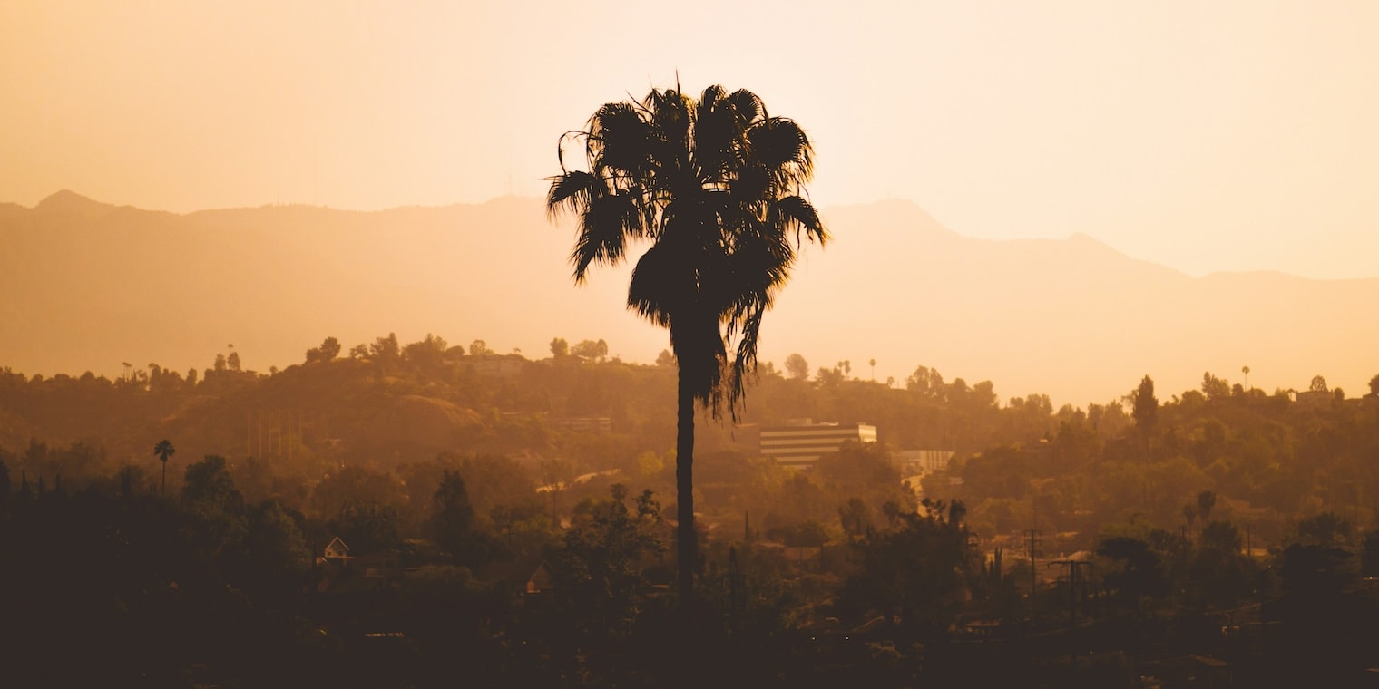LA Wildfires - Travel to LA