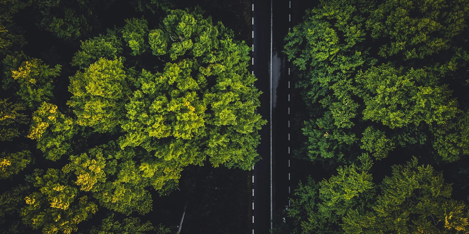 Sustainable business travel