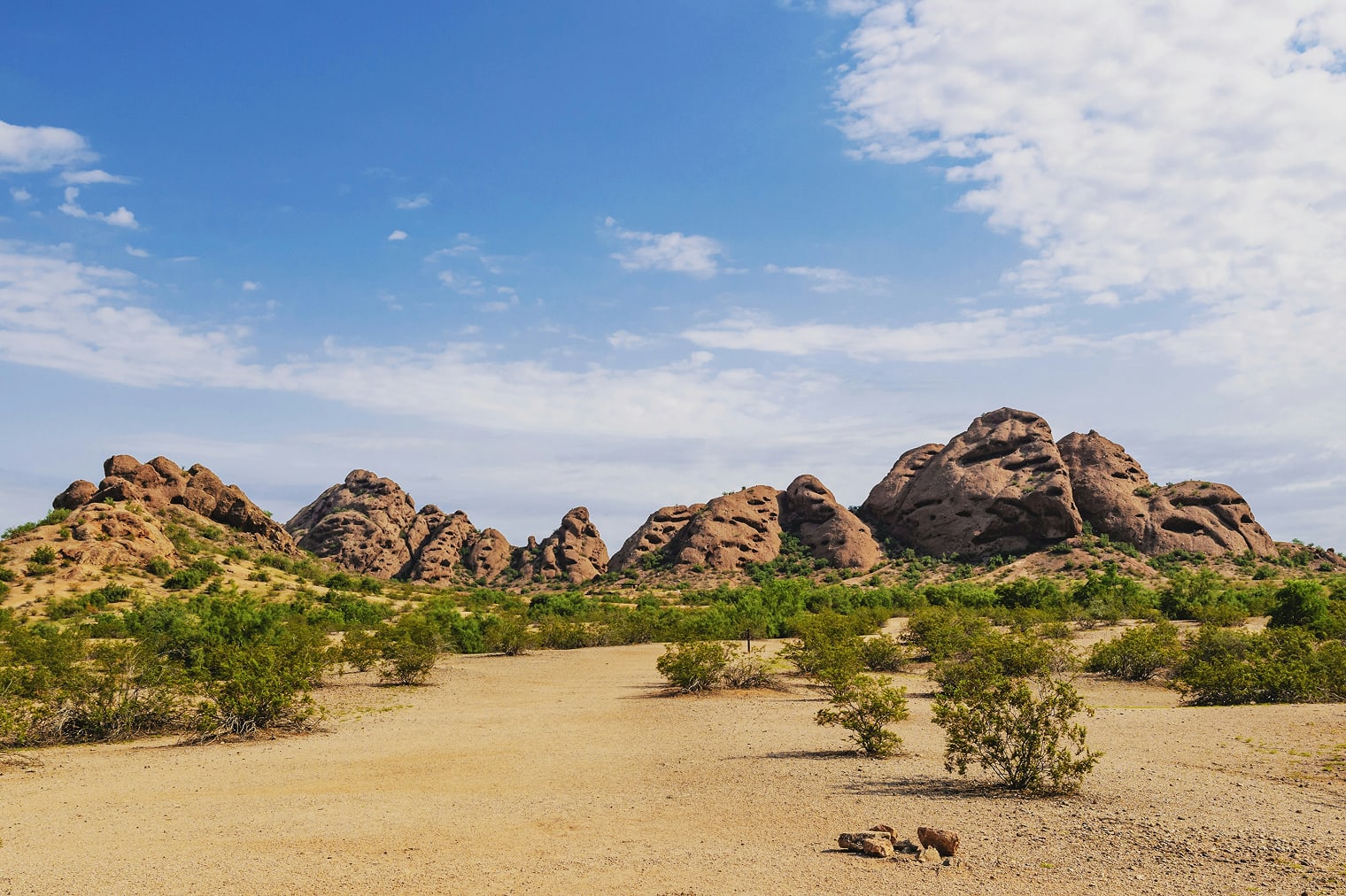 Phoenix Arizona