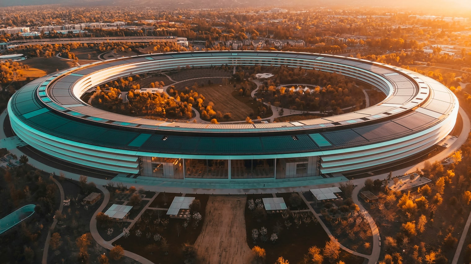 Silicone Valley