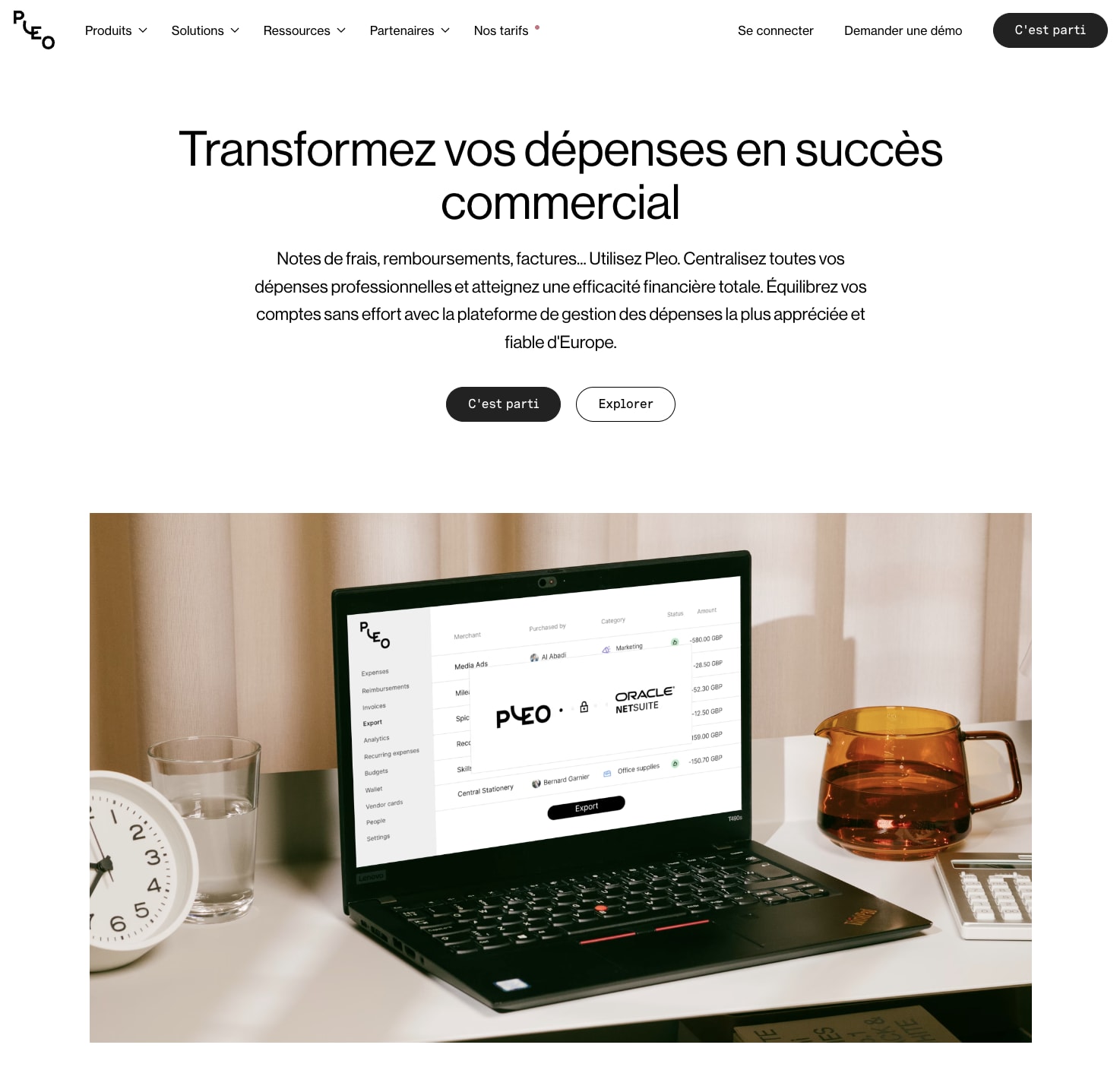 Interface web de Pleo