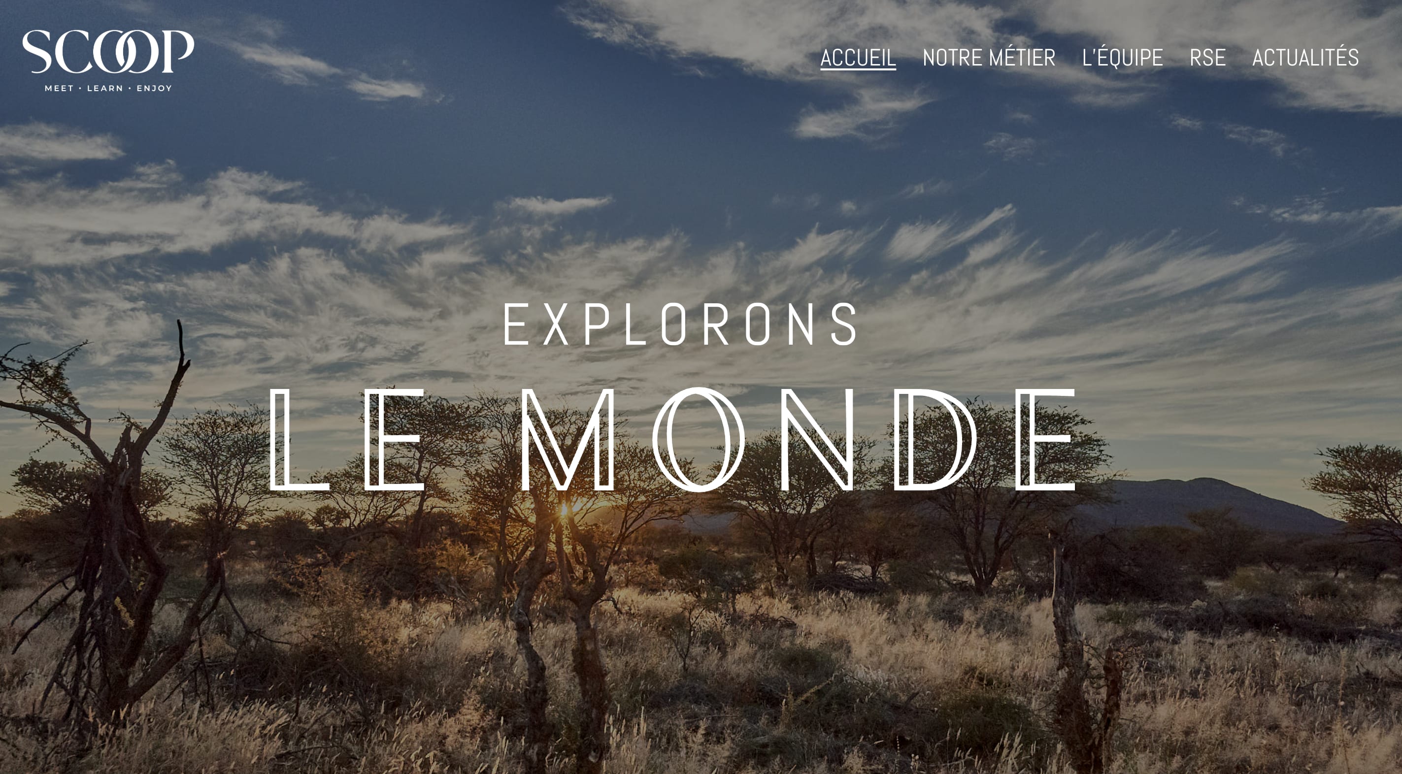 interface web de Scoop