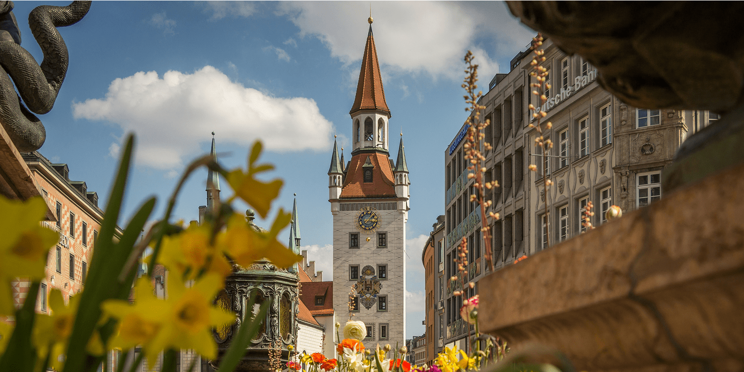 Blühende Frühlingsblumen und ein verzierter Brunnen vor dem Alten Rathaus in Münchens Innenstadt, unweit der Messe München.