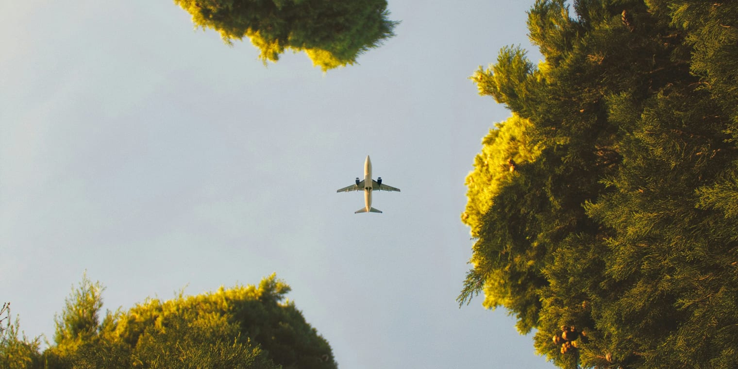 Ein Flugzeug fliegt zwischen grünen Baumkronen am Himmel, symbolisch für neue Technologien im Aufgabenbereich von Travel Managern.