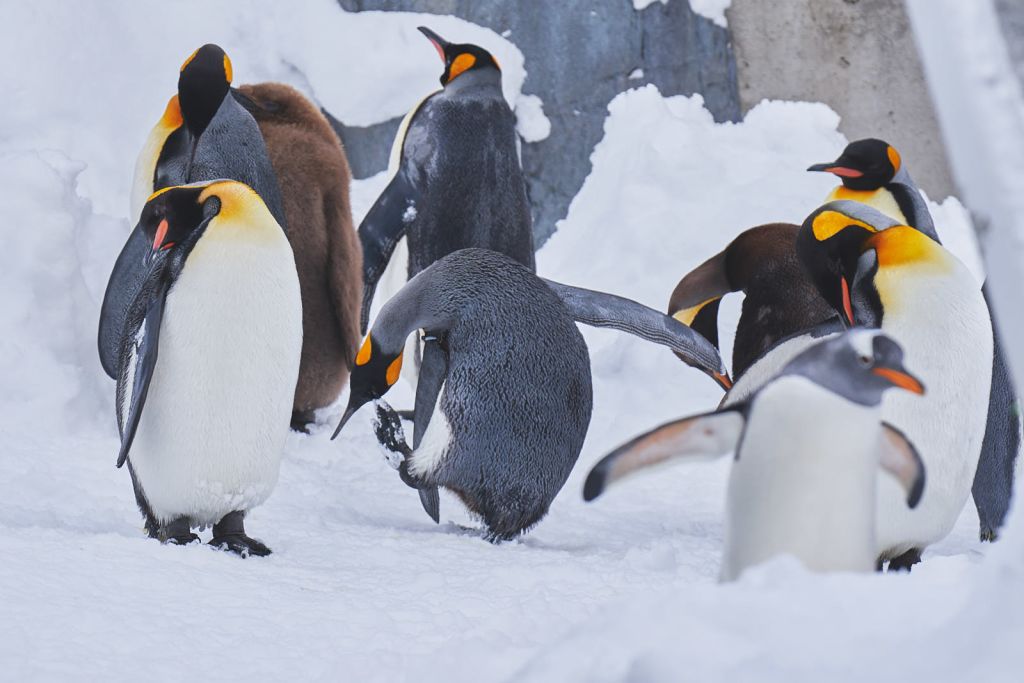 산책 다녀와서 정리하기