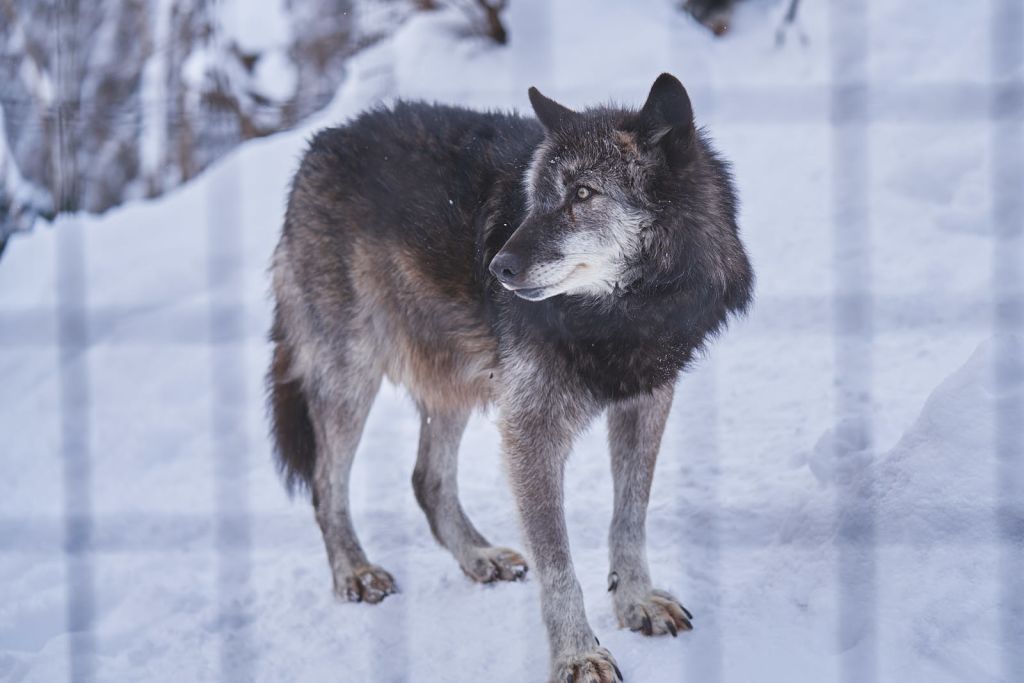 언니, 전 왼쪽 얼굴이 잘 받아요.
