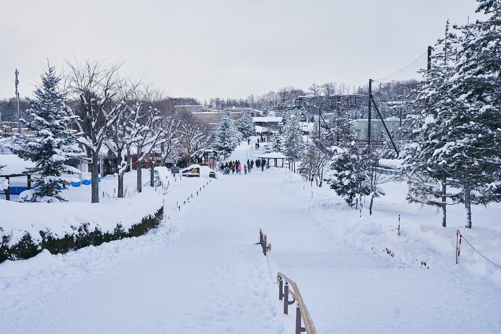 입장해 바로 펭귄관으로 향했다.