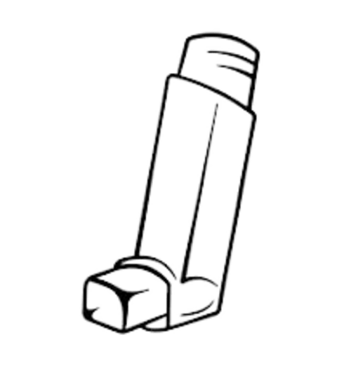 budecort 100 inhaler