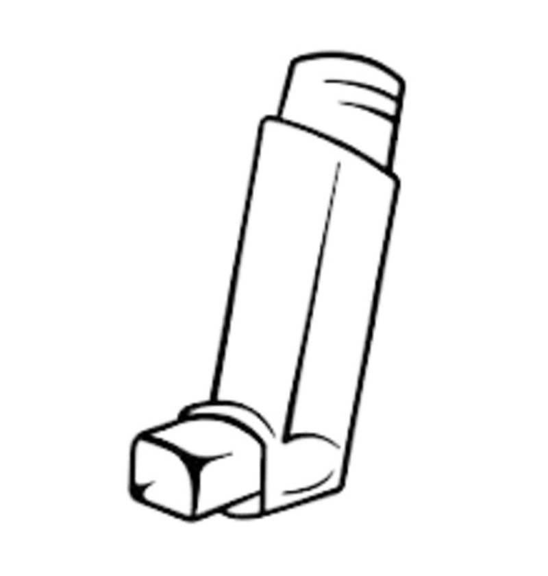 budecort 100 inhaler