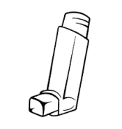 budecort 100 inhaler