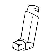 budecort 100 inhaler