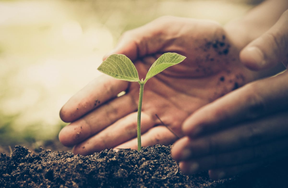 Triple-S setter bærekraft i førersetet