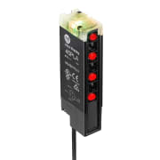 Polarized Light Array