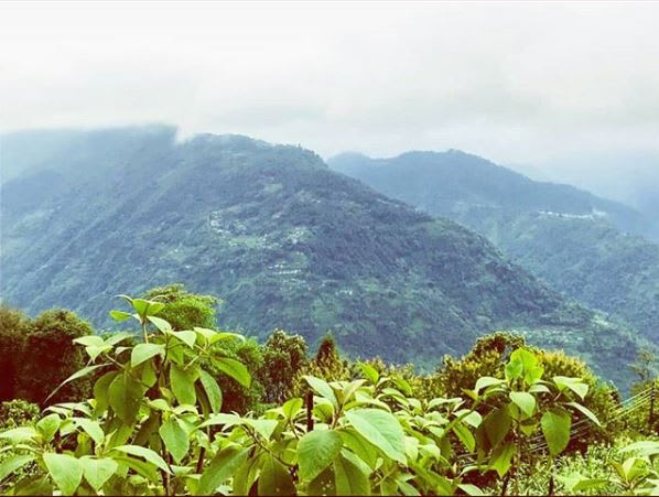 sikkim hotels