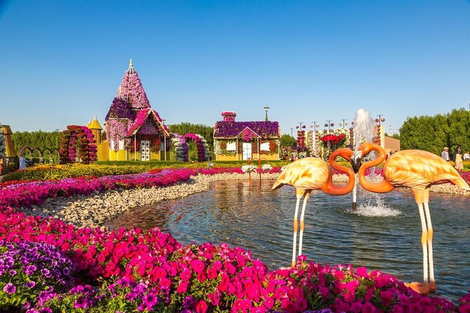 Dubai in February: A Mesmerizing Winter Wonderland 2 Dubai Miracle Garden