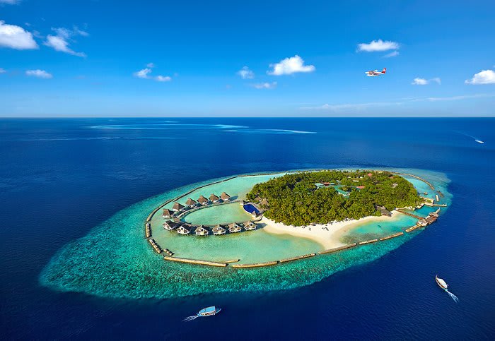 Top 5 Luxury Resorts in Maldives for the Ultimate Honeymoon Experience 5 Ellaidhoo