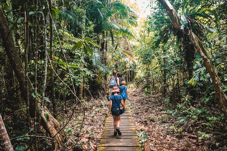 Discover the 2 Best of Malaysia's Nature and Wildlife: A Guide to Bako National Park and Sepilok Orangutan Sanctuary 2 Bako National Park
