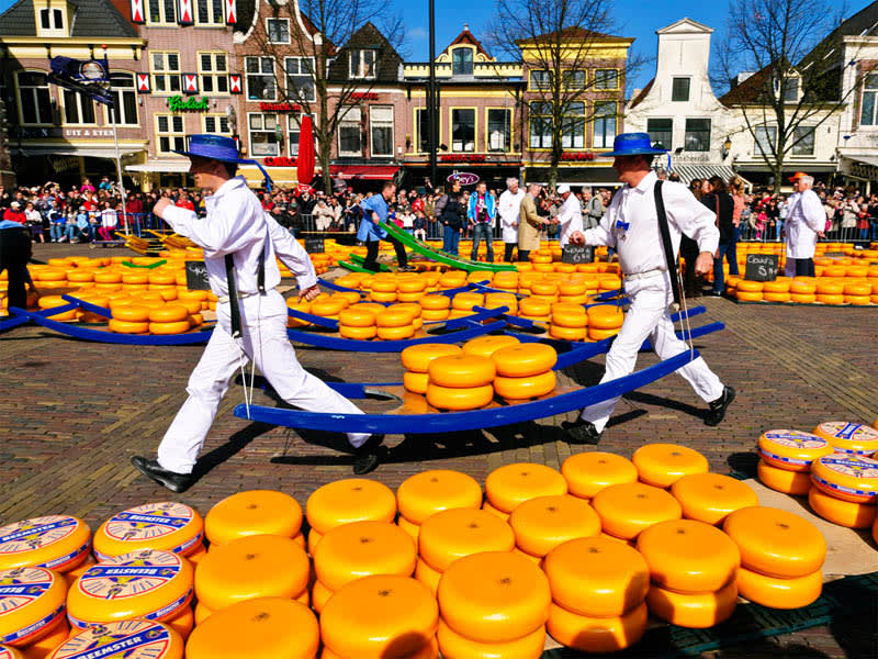 Discover the 7 Best of the Netherlands: A Guide to Tulips, Windmills, and Cheese 3 Alkmaar Cheese Market