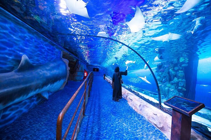 Dubai in July: A Thrilling Summer Oasis of Exhilarating Adventures 3 Dubai in July: A Thrilling Summer Oasis of Exhilarating Adventures 3