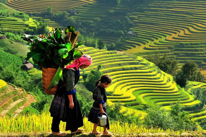Vietnam in October: Exploring Vibrant Festivals and Natural Wonders 2 Visit Sapa in Vietnam in October